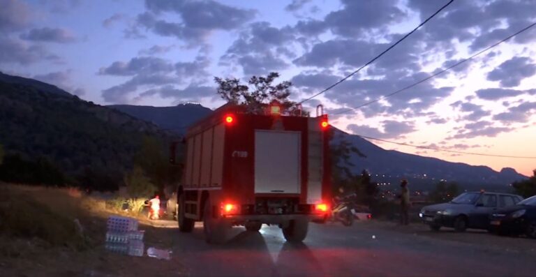 Φωτιά σε αγροτοδασική έκταση στην περιοχή Δελφίνι Χίου