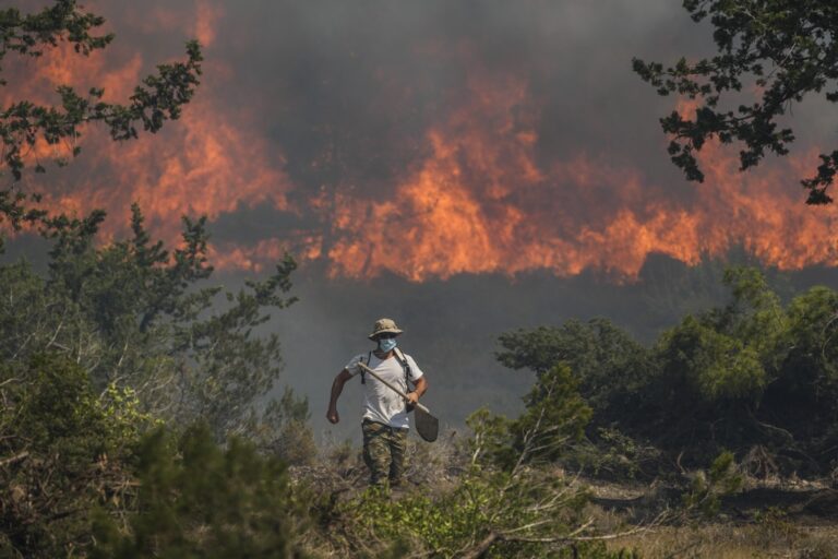 «Να δώσουμε βάρος στην πρόληψη για να μην ξανακαεί η χώρα μας» – Τι λέει ειδικός για τα δάση και τις πυρκαγιές