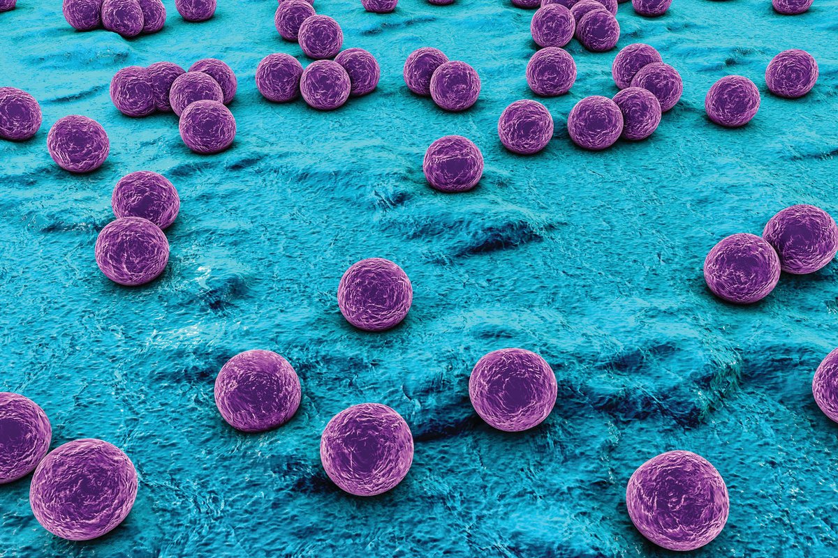 sterile_science-staphylococcus_01.min-1200x627
