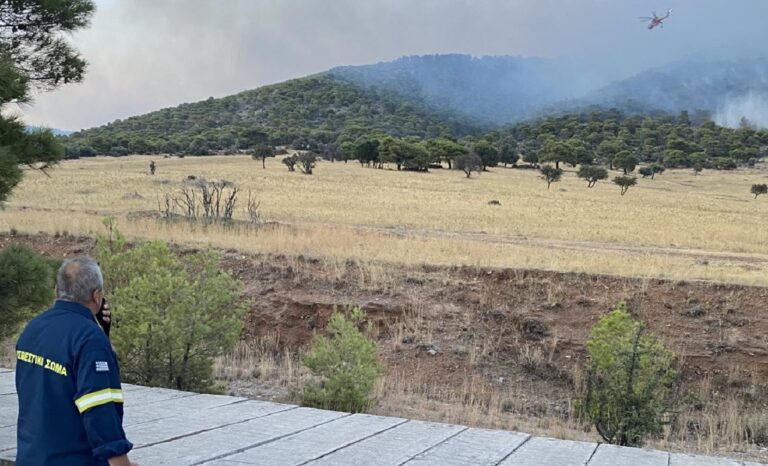 Ολονύχτια μάχη της Πυροσβεστικής στην πυρκαγιά στον Ασπρόπυργο – Μειώνεται η ένταση της φωτιάς