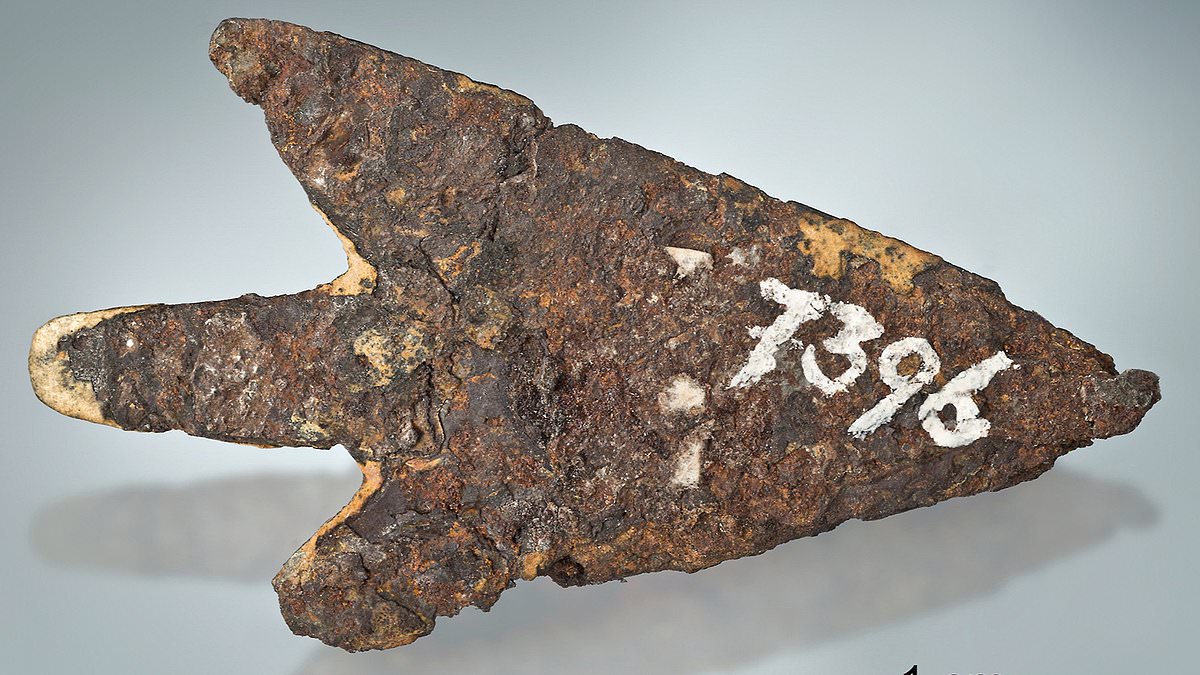 «Εξωγήινο όπλο» 3.000 ετών βρέθηκε στην Ελβετία