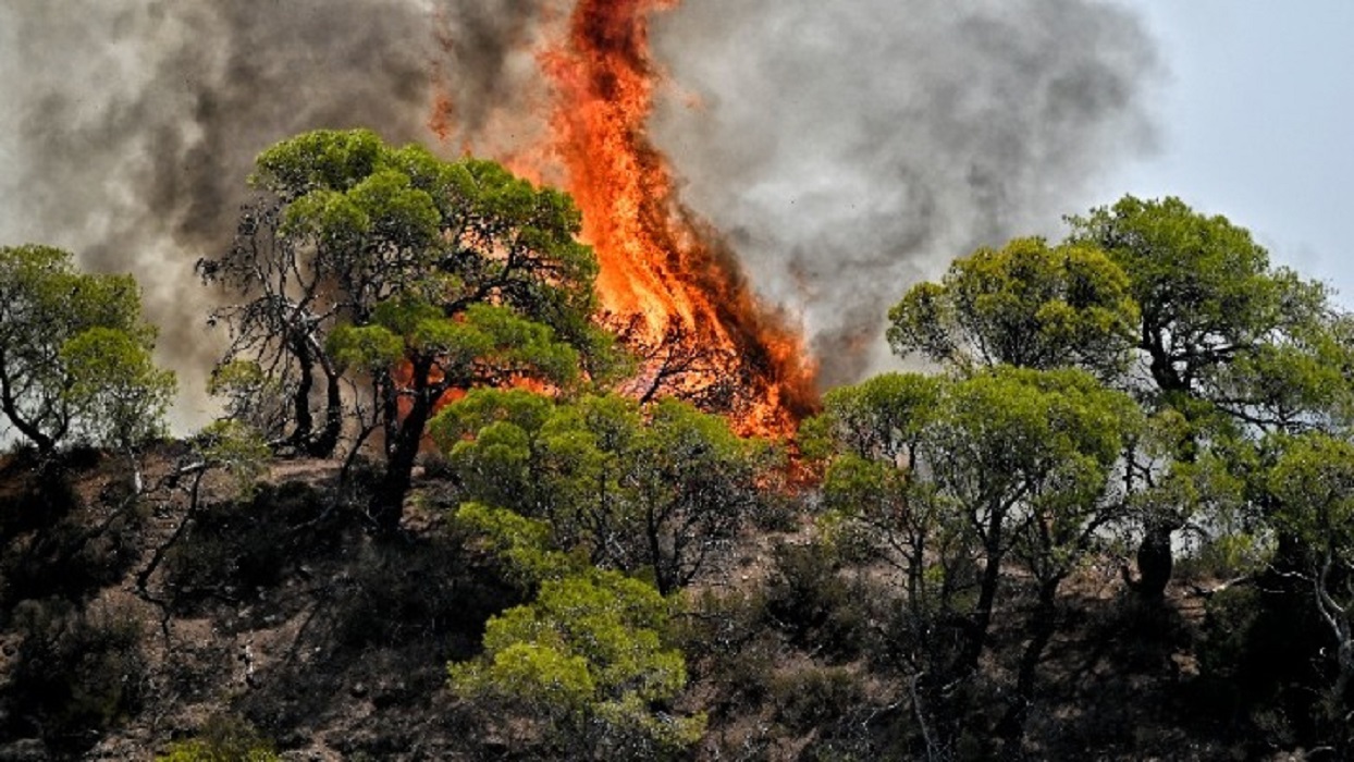 Πυρκαγιές: Ενεργοποιήθηκε η υπηρεσία Copernicus για πληγείσες περιοχές σε Ροδόπη και Αττική