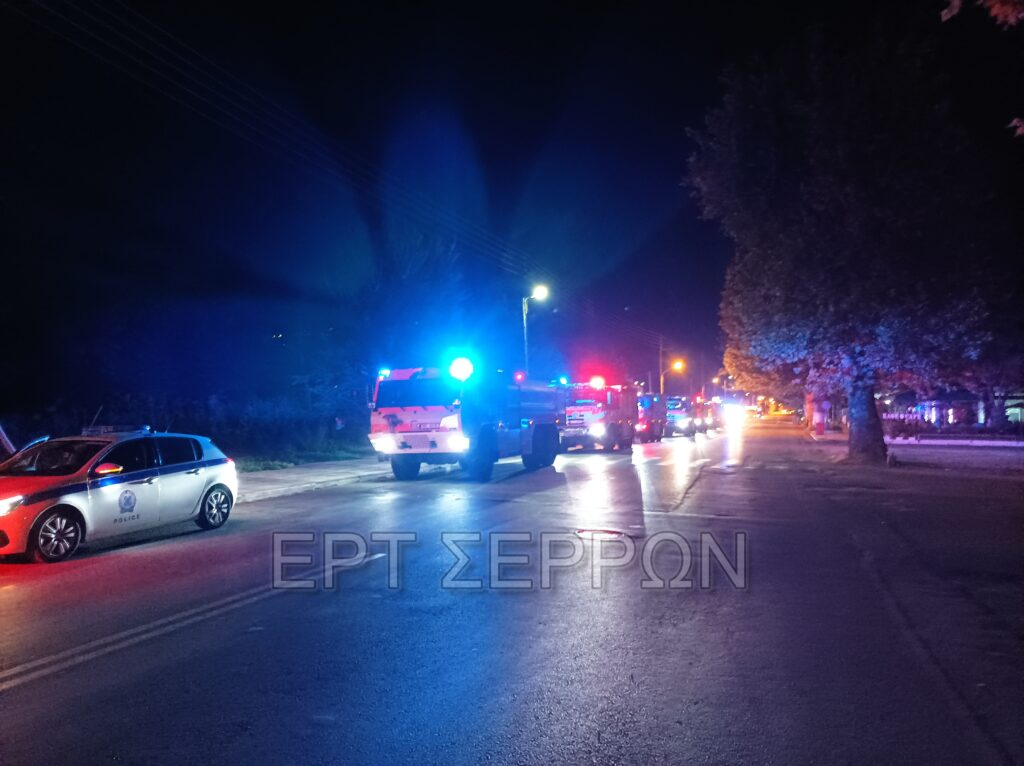 Σέρρες: Έφτασαν από τον Προμαχώνα οι Τσέχοι πυροσβέστες με προορισμό τον Έβρο (βίντεο)