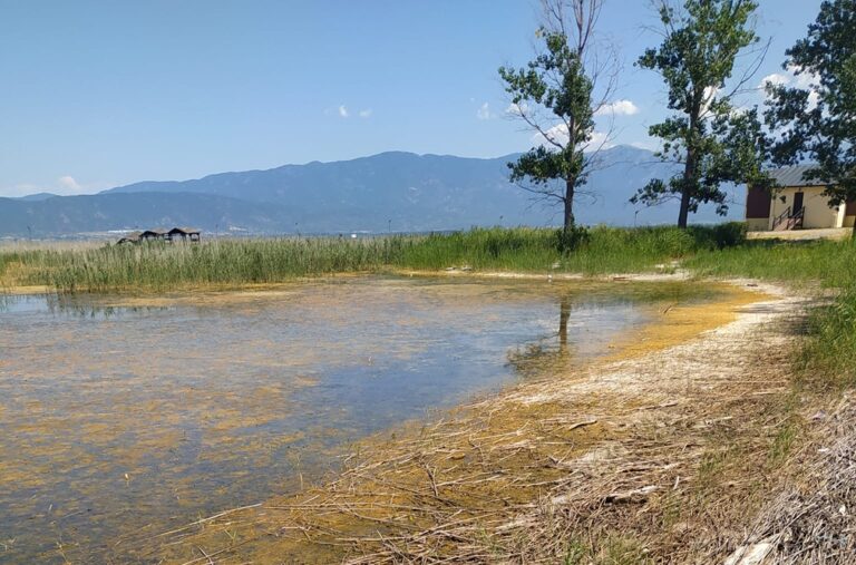 Εικόνα εγκατάλειψης στη λίμνη Δοϊράνη