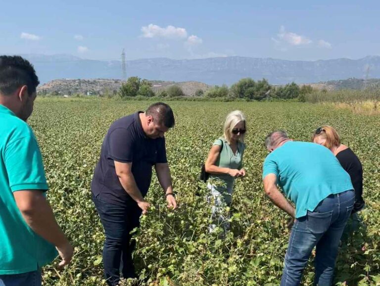 Λάρισα: Στην διάθεση των παραγωγών τα πορίσματα του ΕΛΓΑ για τις ζημιές