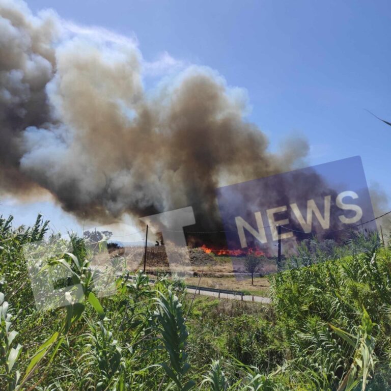 Οριοθετήθηκε η φωτιά στην Καλαμάτα – Επιχειρούν συνεχώς 5 εναέρια PZL