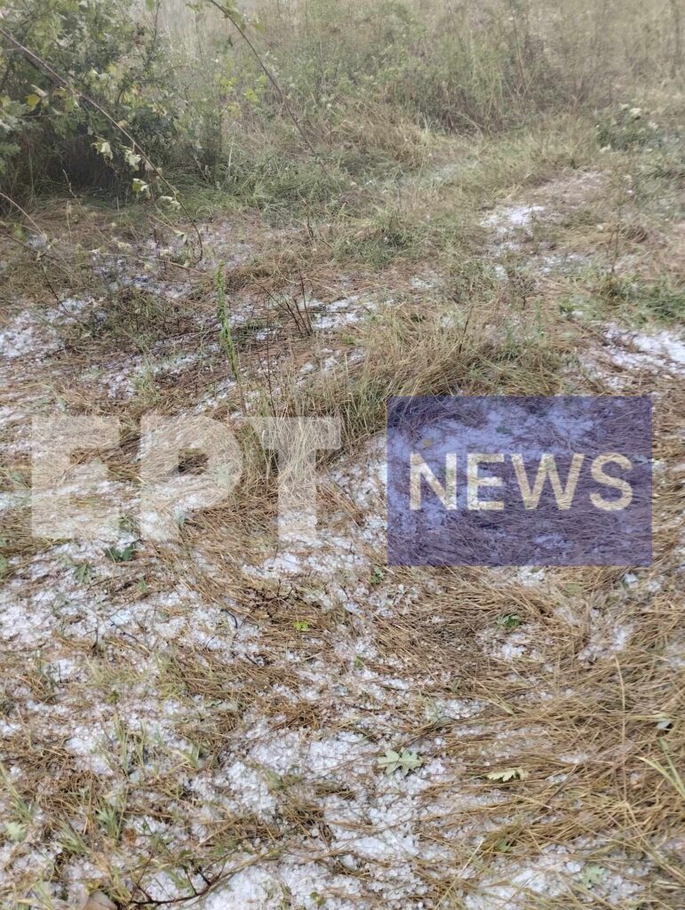 Καστοριά: Ολική καταστροφή στις καλλιέργειες φασολιών προκάλεσε έντονη χαλαζόπτωση (φωτό-βίντεο)