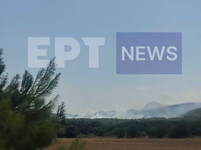 Λέσβος: Υπό μερικό έλεγχο τέθηκε η πυρκαγιά σε δασική έκταση στην Αχλαδερή – Δείτε εικόνες