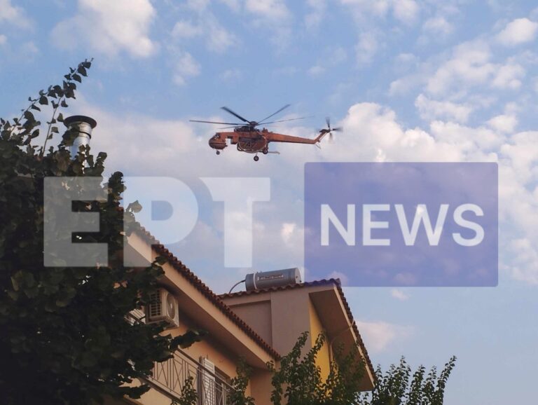 Πάτρα: Πυρκαγιά σε δασική έκταση στη Σκιόεσσα