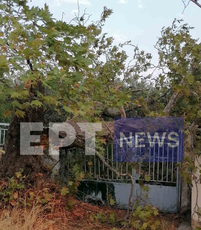 Σέρρες: Δυνατό μπουρίνι στην Αναστασιά ξήλωσε στέγες και κεραμίδια