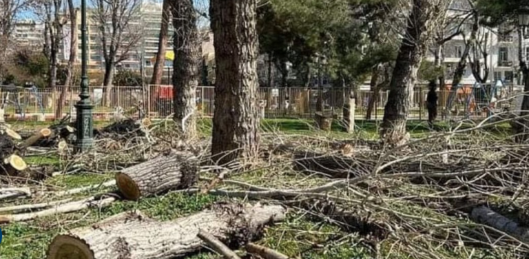 Θεσσαλονίκη: Διαμαρτυρία για την κοπή δέντρων-Πάγωσε η διαδικασία λόγω ασφαλιστικών μέτρων
