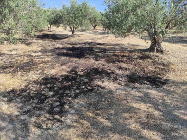 Υψηλός κίνδυνος πυρκαγιάς στη Θάσο