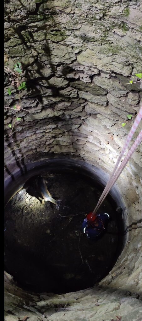 Κέρκυρα: Κινητοποίηση της Π.Υ. για τη διάσωση κατσίκας