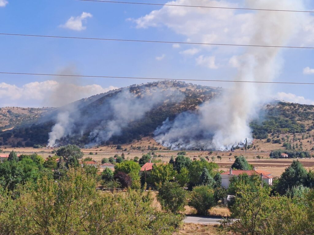 Κοζάνη: Ενώπιον του εισαγγελέα ο ύποπτος για εμπρησμό σε δασική έκταση στην Νέα Νικόπολη