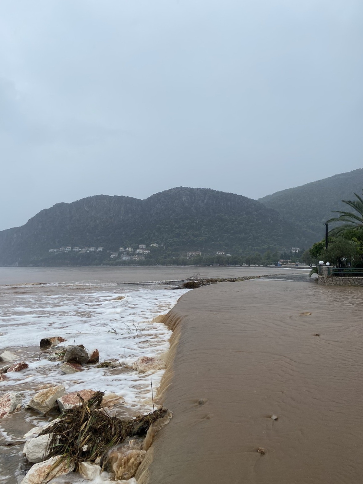 Δήμος Νεμέας: Αιτήσεις για τους παραγωγούς που έχουν υποστεί ζημιές από τις βροχές