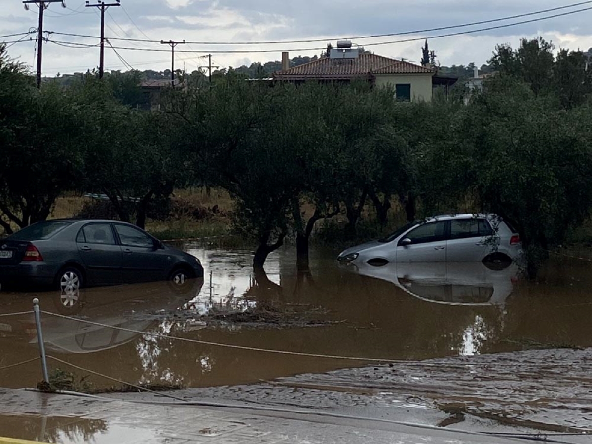 Αργολίδα: Ξεκίνησαν οι δηλώσεις για την κρατική αρωγή