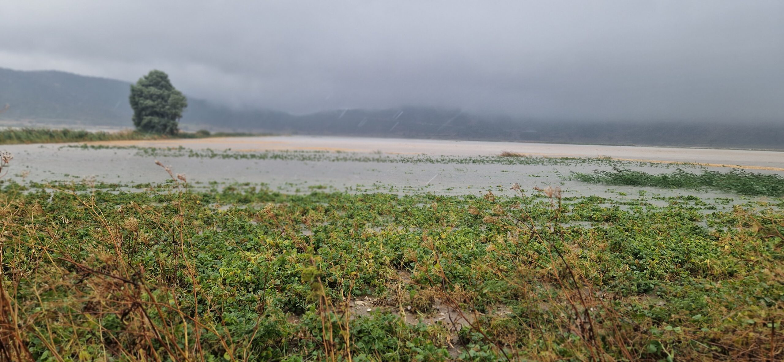 Κακοκαιρία Daniel: Χιλιάδες στρέμματα καλλιεργειών βούλιαξαν στο νερό στα Τέμπη