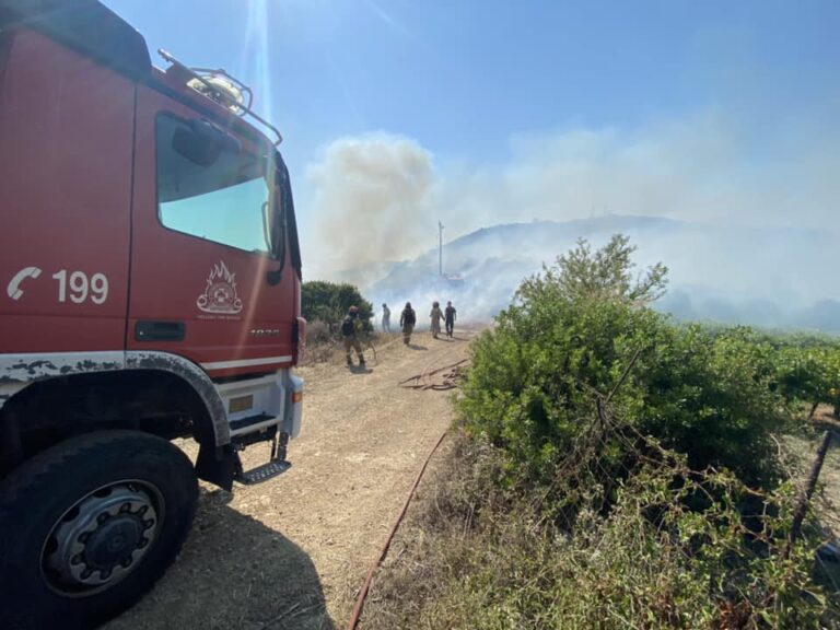 Μεσσηνία: Συναγερμός στην Πυροσβεστική για φωτιά στην Εύα