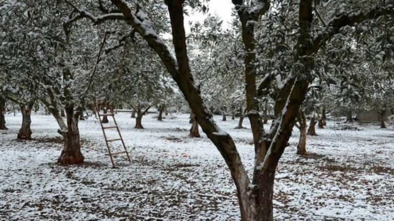 Έρχονται κρύο και χιόνια το Σάββατο και στην Αττική – Ποιες άλλες περιοχές θα επηρεαστούν — Αναλυτική πρόγνωση