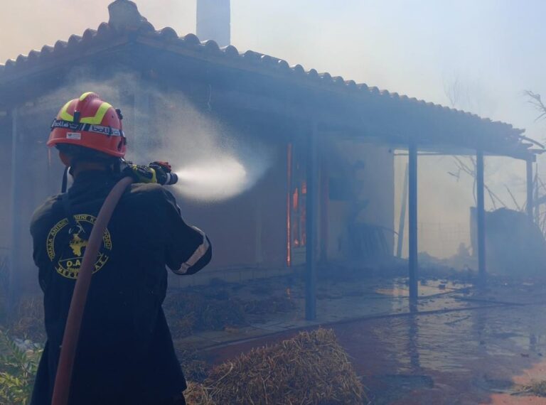 Καλαμάτα: Ξεκινά η καταγραφή των ζημιών από την πρόσφατη πυρκαγιά στην περιοχή της Ασπροπουλιάς