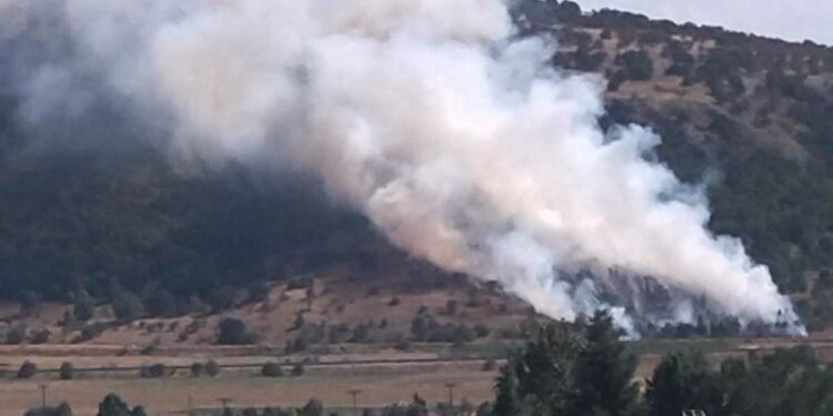 Κοζάνη: Δίωξη σε βαθμό κακουργήματος για εμπρησμό στον 48χρονο