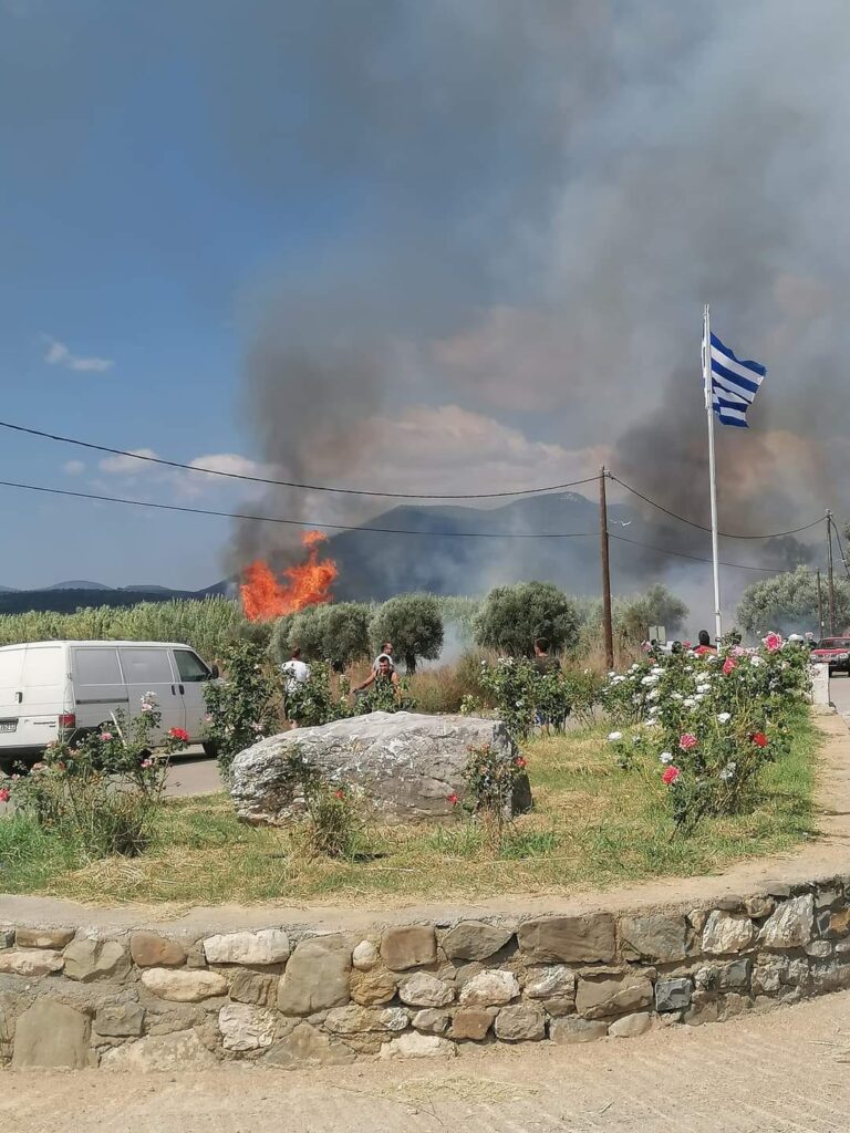 Μεσσηνία: Συναγερμός στην Πυροσβεστική για φωτιά στην Εύα
