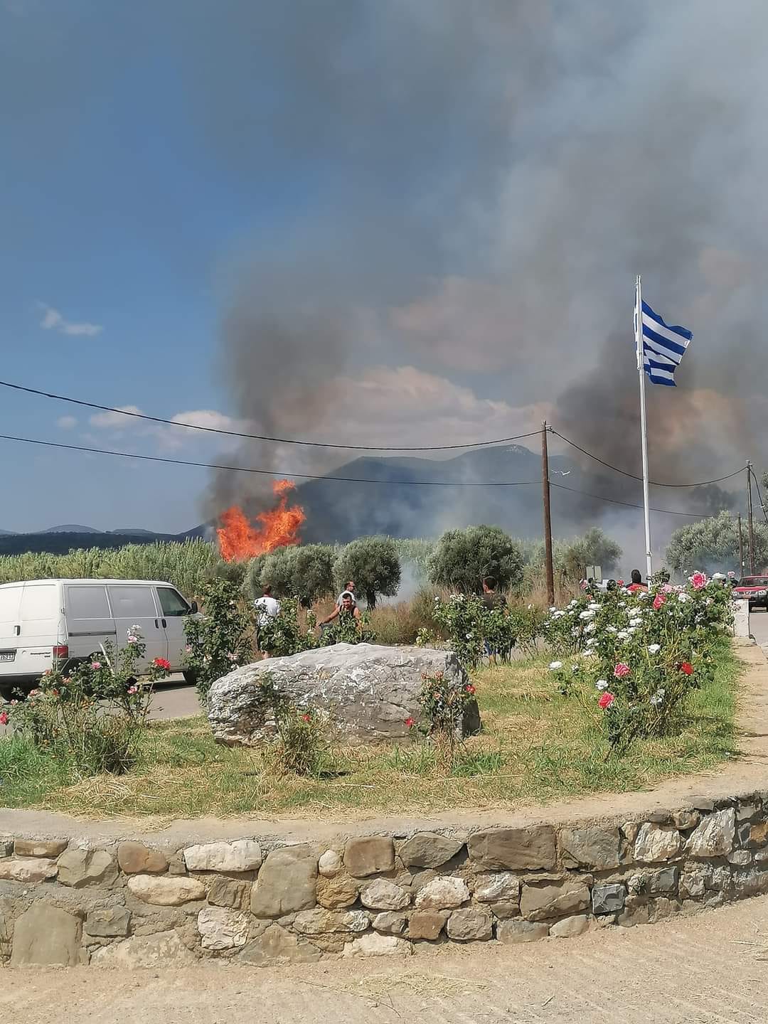 Καλαμάτα: Υπό έλεγχο η πυρκαγιά στην Εύα Μεσσηνίας