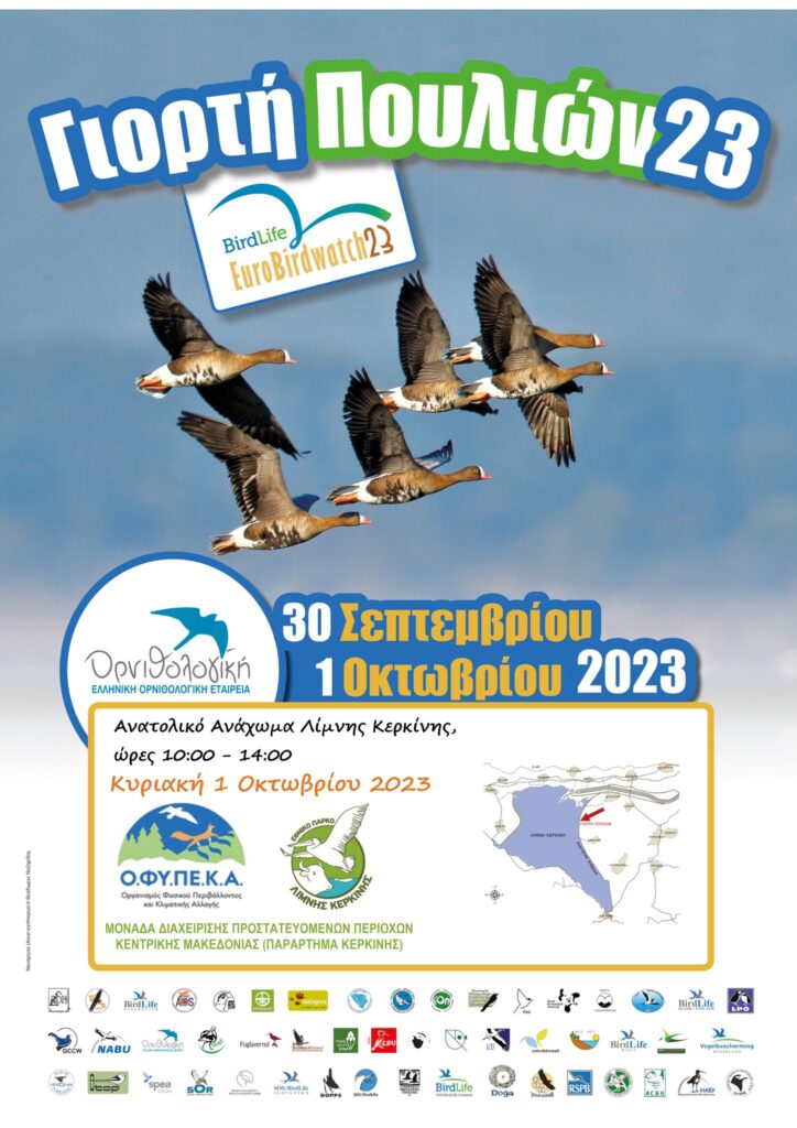 Σέρρες: “Γιορτή πουλιών” στην Κερκίνη