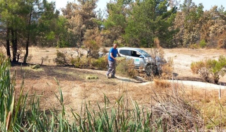 ΟΦΥΠΕΚΑ: Δράσεις προστασίας της άγριας πανίδας σε Πάρνηθα και Έβρο
