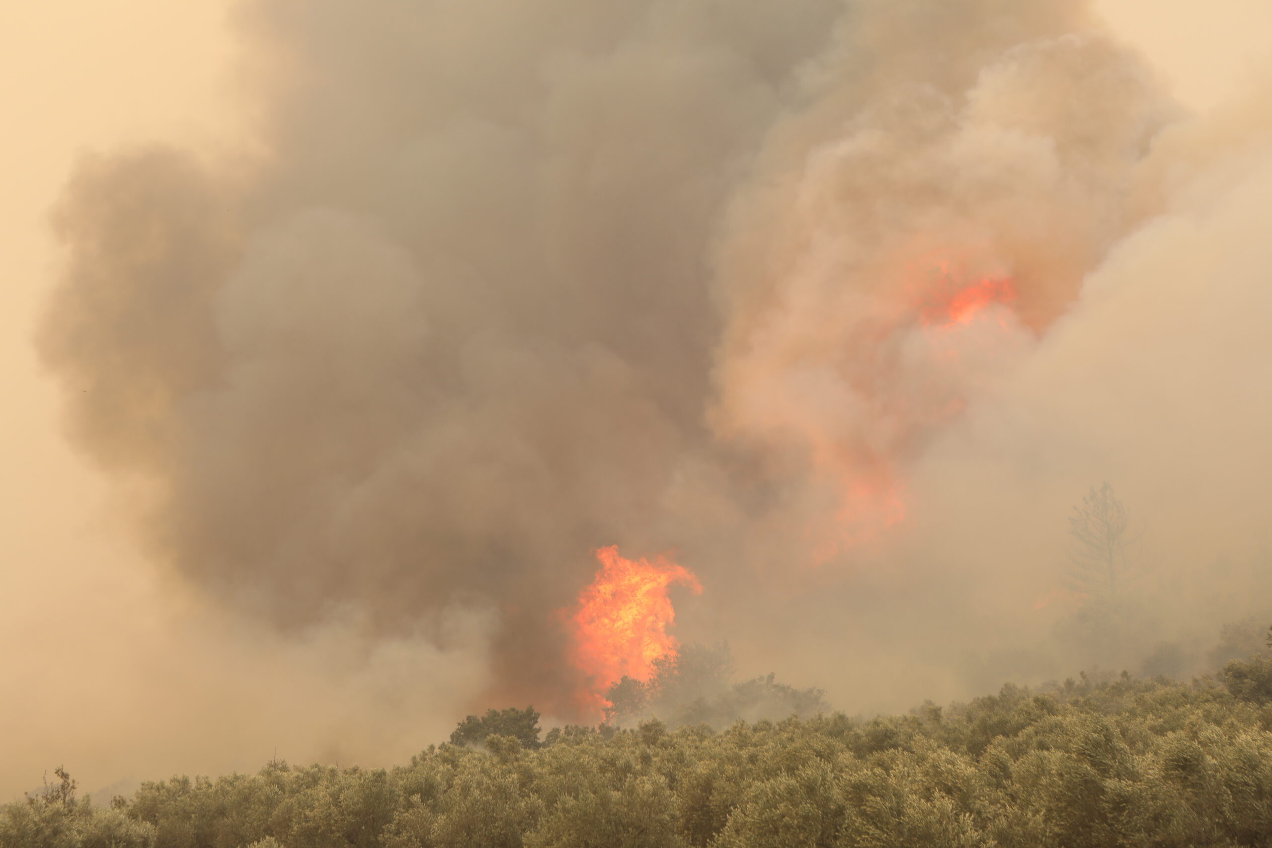 Σε πύρινο κλοιό παραμένει ο Έβρος: Η φωτιά καίει τον μικρό πυρήνα του δάσους της Δαδιάς – Διαρκώς ξεπηδούν νέα μέτωπα