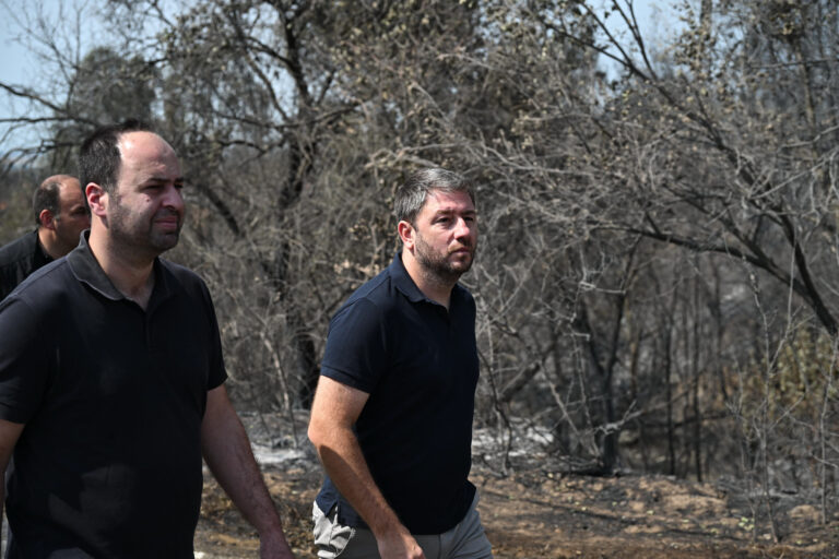 Στις πληγείσες περιοχές της Θεσσαλίας αύριο ο Ανδρουλάκης με την πρόεδρο της ευρωομάδας, Ιράτσε Γκαρσία