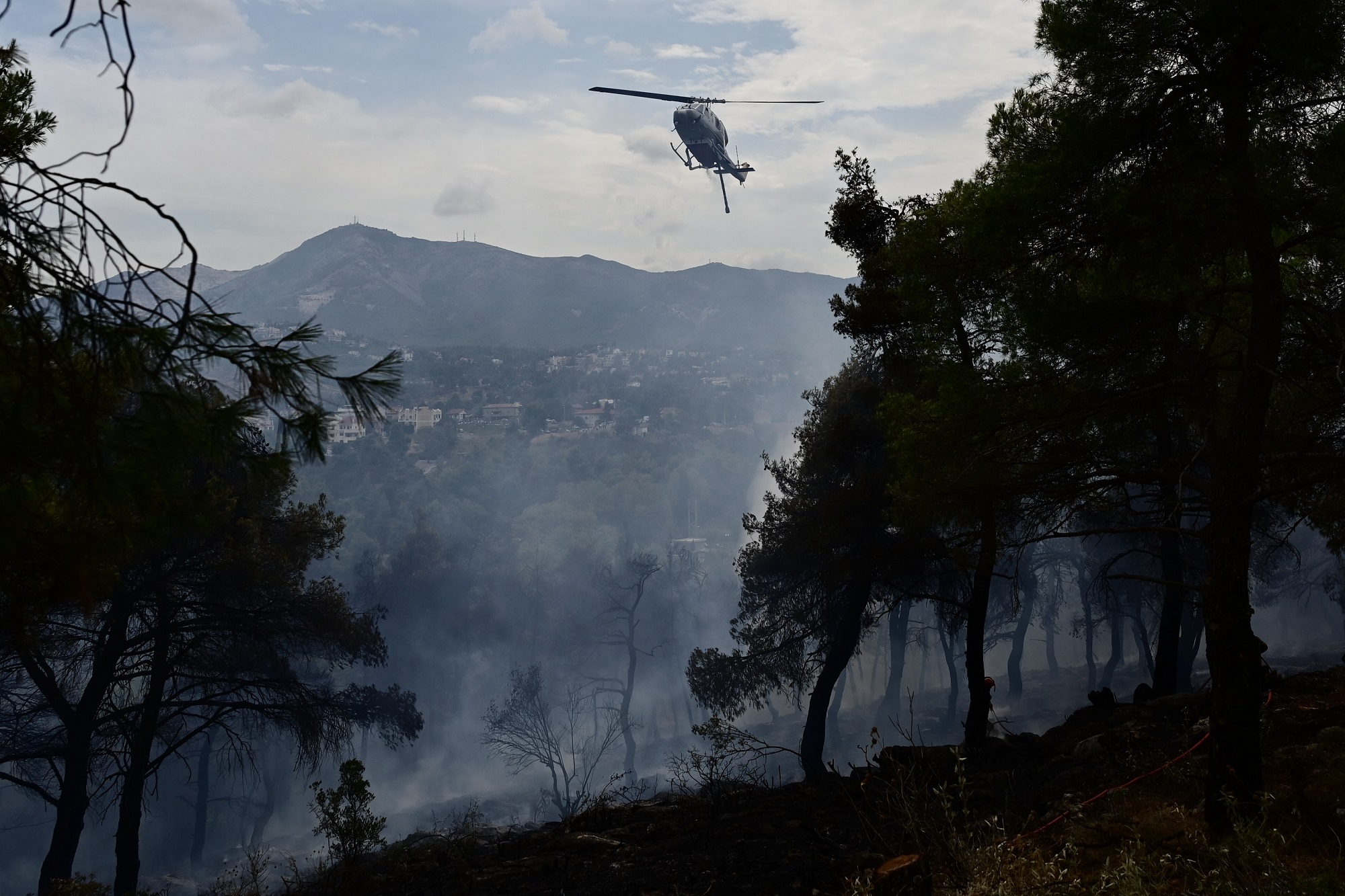 Σύλληψη για εμπρησμό από αμέλεια στη Σταμάτα Αττικής