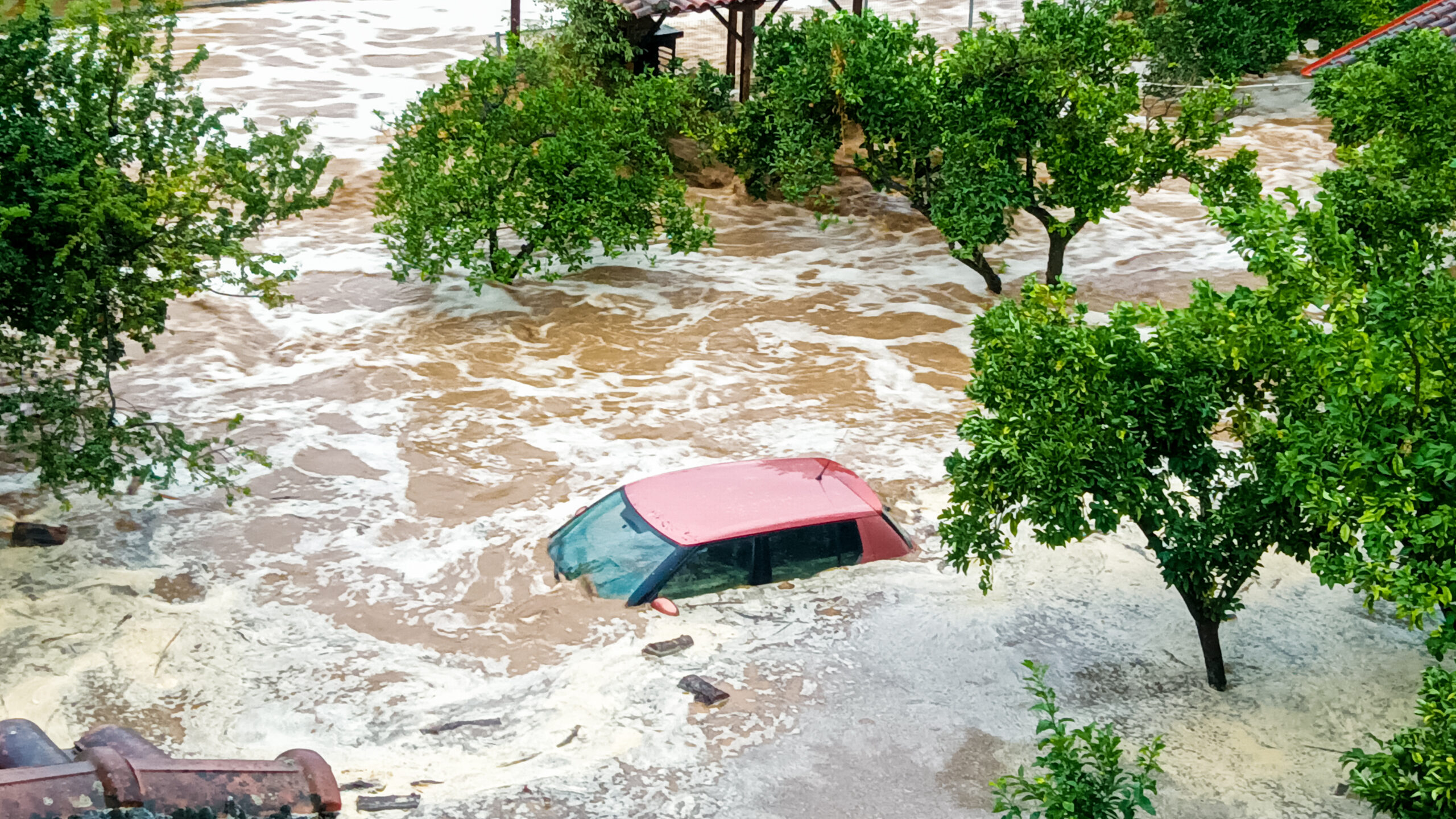 ΚΑΚΟΚΑΙΡΙΑ ΣΤΗ ΜΗΛΙΝΑ ΠΗΛΙΟΥ (ΘΑΝΑΣΗΣ ΚΑΛΛΙΑΡΑΣ / EUROKINISSI)