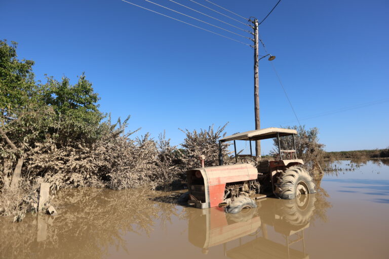 Πρύτανης Γεωπονικού Πανεπιστημίου: Πότε θα είναι αξιοποιήσιμες οι αγροτικές εκτάσεις στις πλημμυρισμένες περιοχές