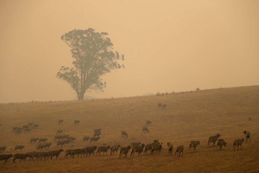 APTOPIX Australia Wildfires