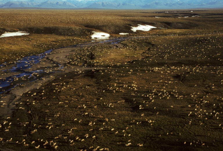Ο πρόεδρος Μπάιντεν αναστέλλει την εξόρυξη ορυκτών καυσίμων στην Αλάσκα εξαιτίας της κλιματικής κρίσης