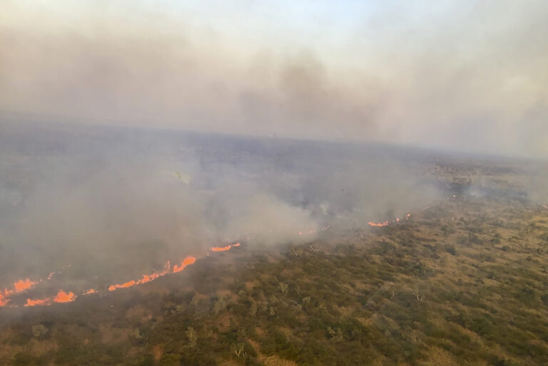 Αυστραλία: Σε εξέλιξη 68 δασικές πυρκαγιές εν μέσω ανοιξιάτικου καύσωνα – Ακραίος κίνδυνος εκδήλωσης πυρκαγιάς στο Σίδνεϊ