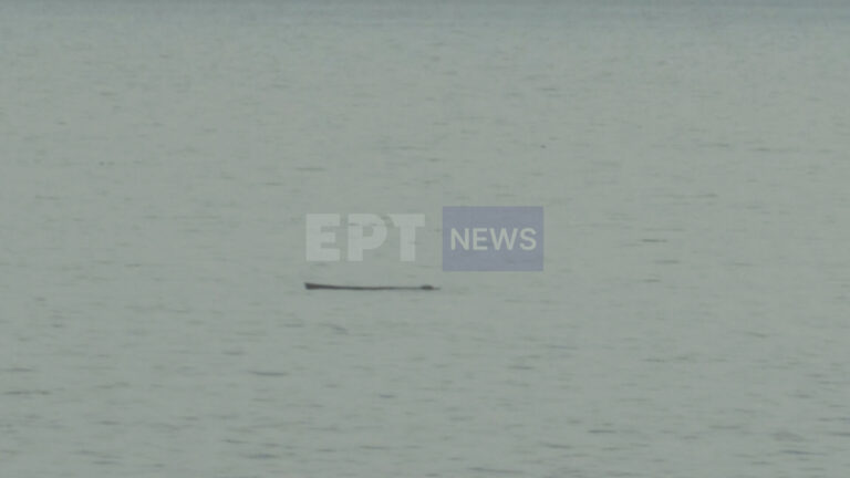 Πτώση ελικοπτέρου στην Εύβοια: Νέες έρευνες για τον πιλότο που αγνοείται – Πιθανό να εντοπίστηκε ένας από τους έλικες