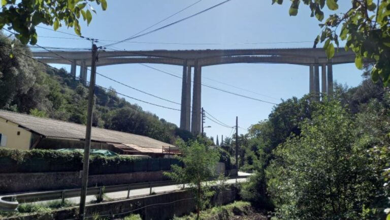 Παίκτης της Νις απείλησε να αυτοκτονήσει