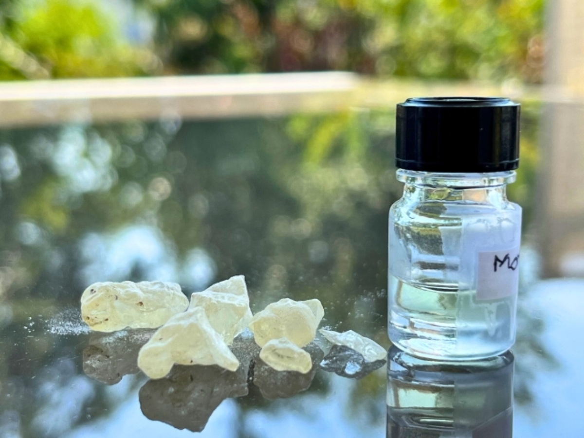 OneOfTheScentsOfEternity (1)