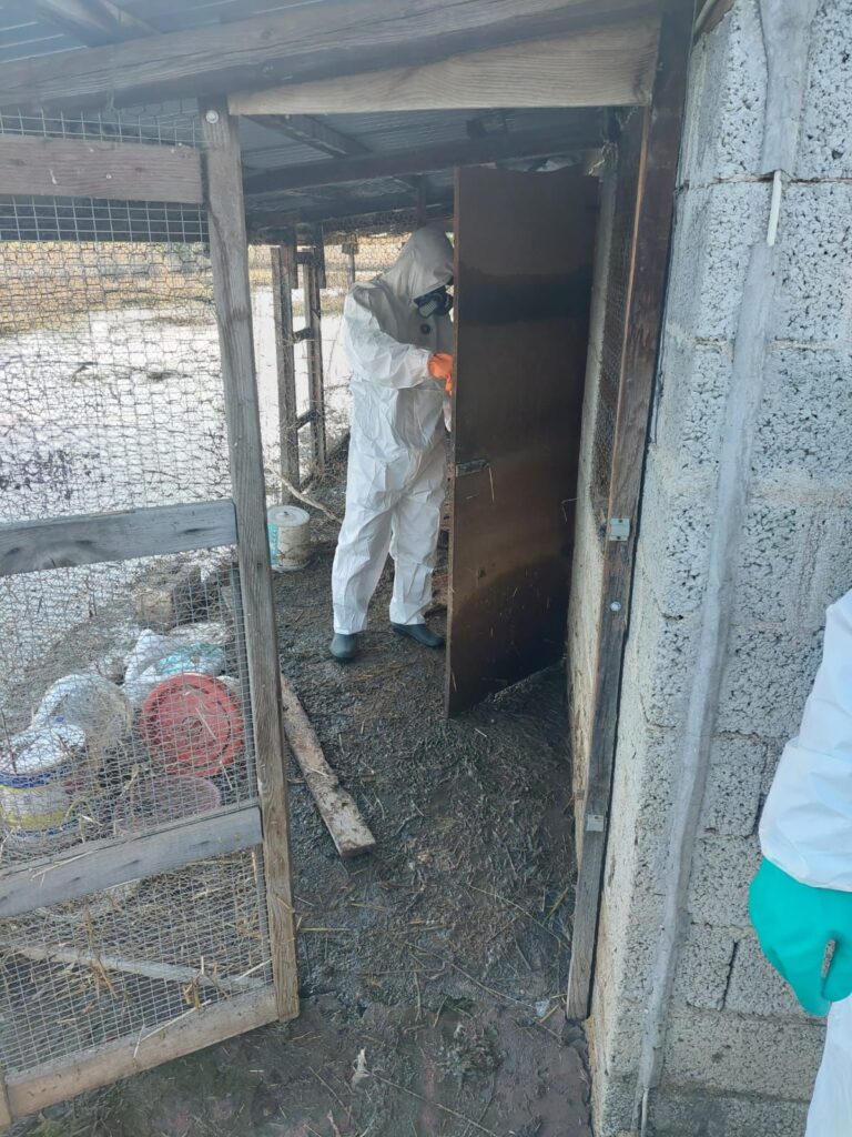 Θεσσαλία: Καρέ – καρέ οι επιχειρήσεις αποκομιδής νεκρών ζώων — Με ειδικές στολές και τήρηση των πρωτοκόλλων τα συνεργεία (φωτογραφίες)