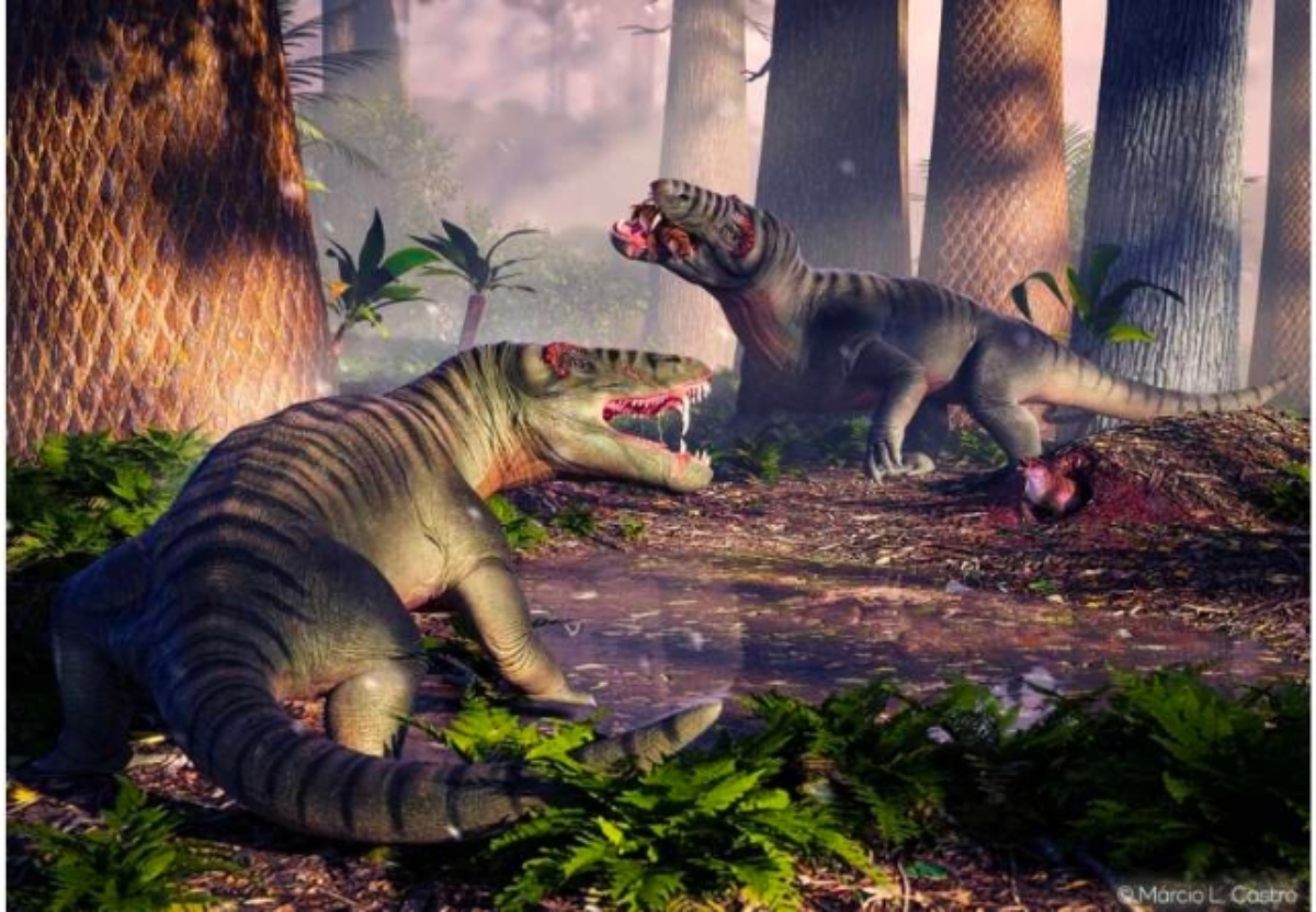 Επιστήμονες ανακάλυψαν κρανίο γιγάντιου θηρευτή που έζησε πολύ πριν τους δεινόσαυρους