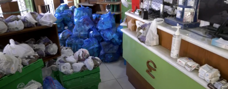 Παλαμάς Καρδίτσας: Απόγνωση μέσα σε νεκρά ζώα και λασπόνερα – Τεράστιος υγειονομικός κίνδυνος