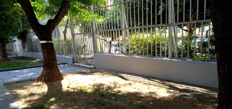 Θεσσαλονίκη: Εξωραΐστηκε το 2ο Γυμνάσιο της Ικτίνου χάρις στο Σωματείο Φίλων Ιστορικού Κέντρου