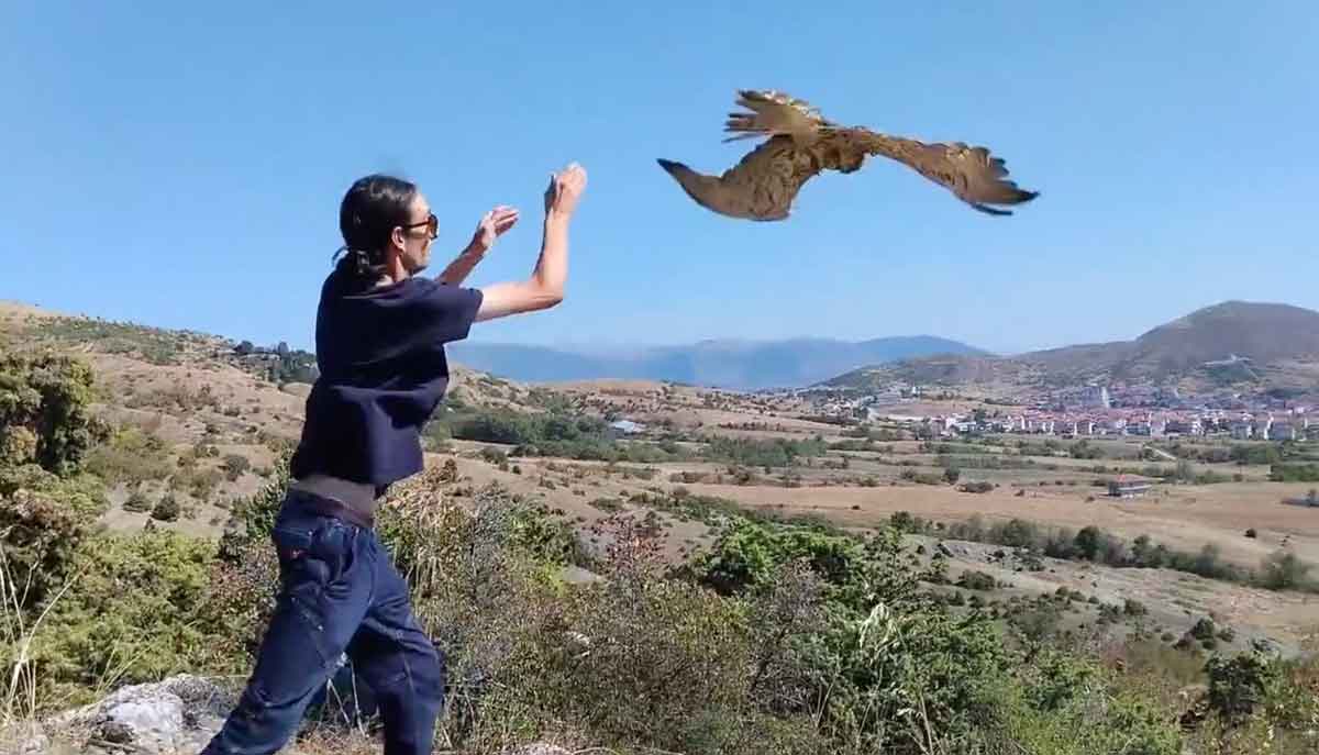 Καστοριά: Απελευθέρωση φιδαετού