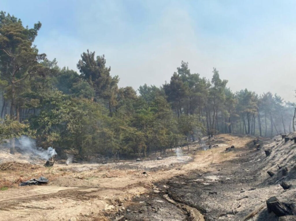 Έβρος: Kάηκε τμήμα του μικρού πυρήνα της Δαδιάς – «Μάχη» με τις φλόγες για 15η μέρα
