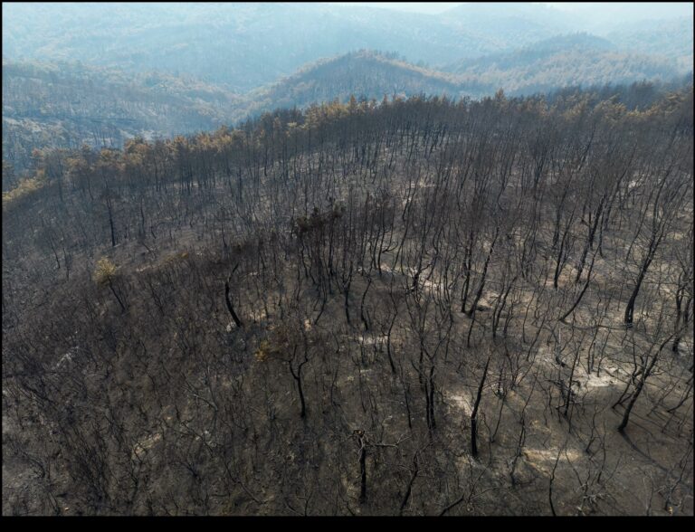 Φωτιά στον Έβρο: Στάχτη πάνω από 935.000 στρέμματα, νέα δορυφορική εικόνα – Συνεχείς ρίψεις από αέρος