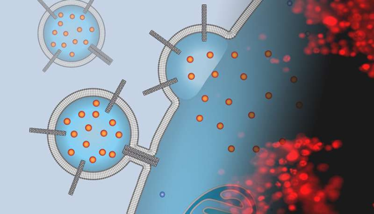 direct-drug-delivery-w (1)