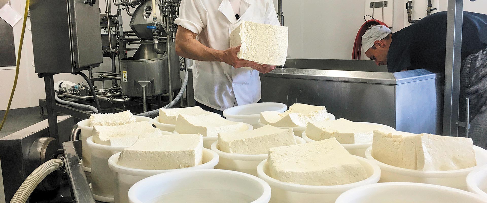 feta-tyri-large