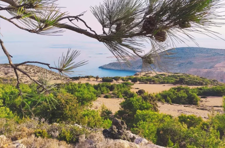Μνημόνιο συνεργασίας ΜΑΙΧ – Διεθνούς Ένωσης για τη Διατήρηση της Φύσης για την προστασία της βιοποικιλότητας της Γαύδου
